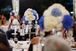 FarnazSagehighlight-124