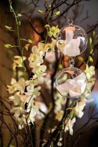 KUNIOO | www.kunioo.com