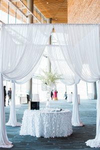 Sunflower_DeniseLinPhotography-129