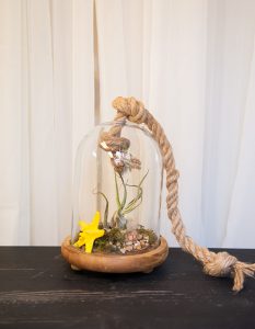 Classic-Terrarium-65