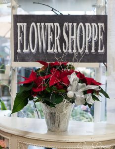 Decorated-Poinsettia