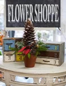 Pine-Cone-Arrangement