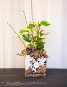 Tropical-Potted